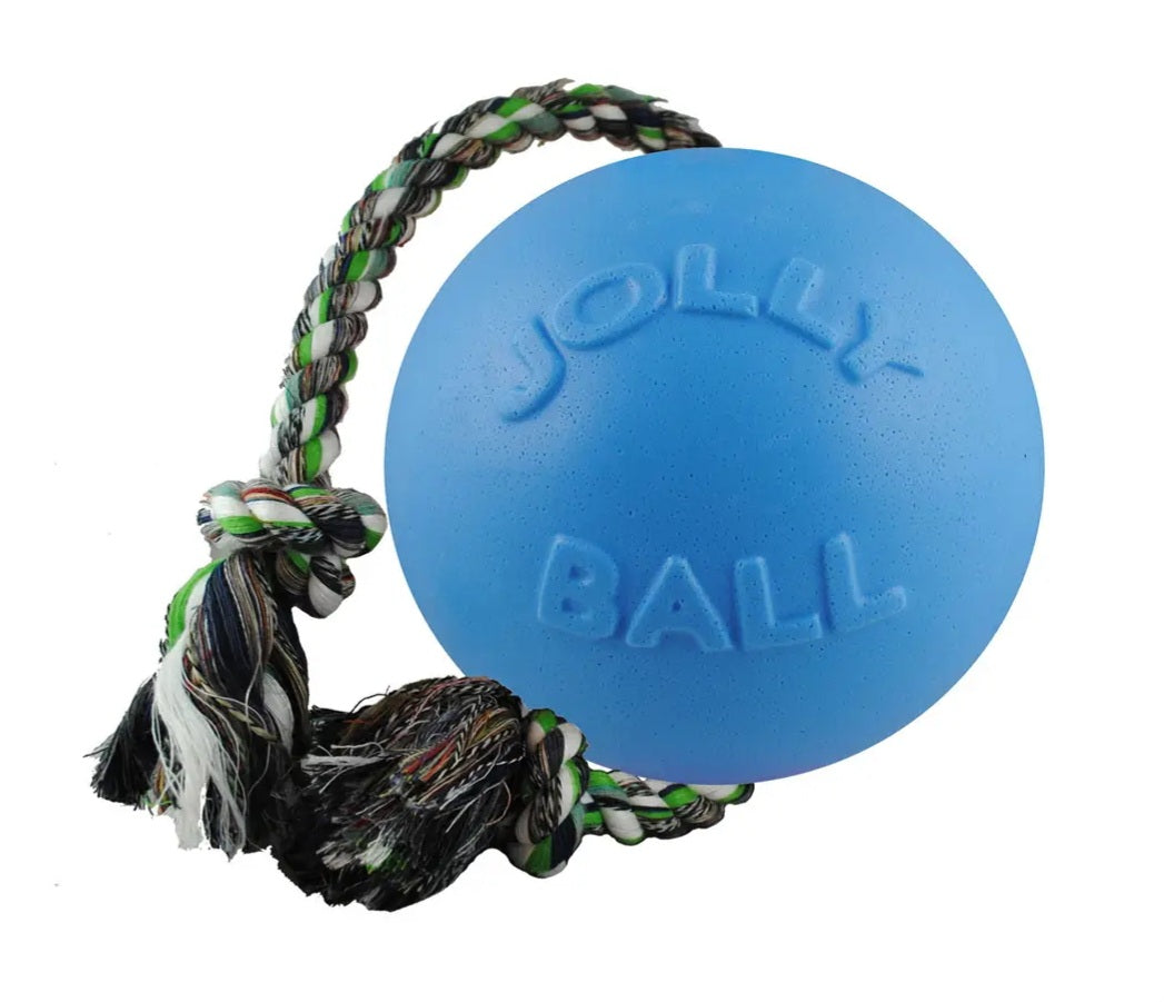 Jolly Pets Romp-N-Roll Dog Toy Blueberry