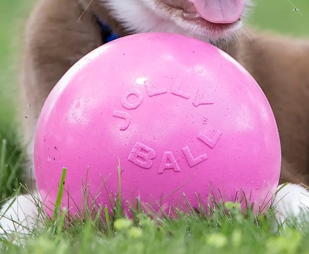 Jolly Pets Bounce-N-Play Dog Toy