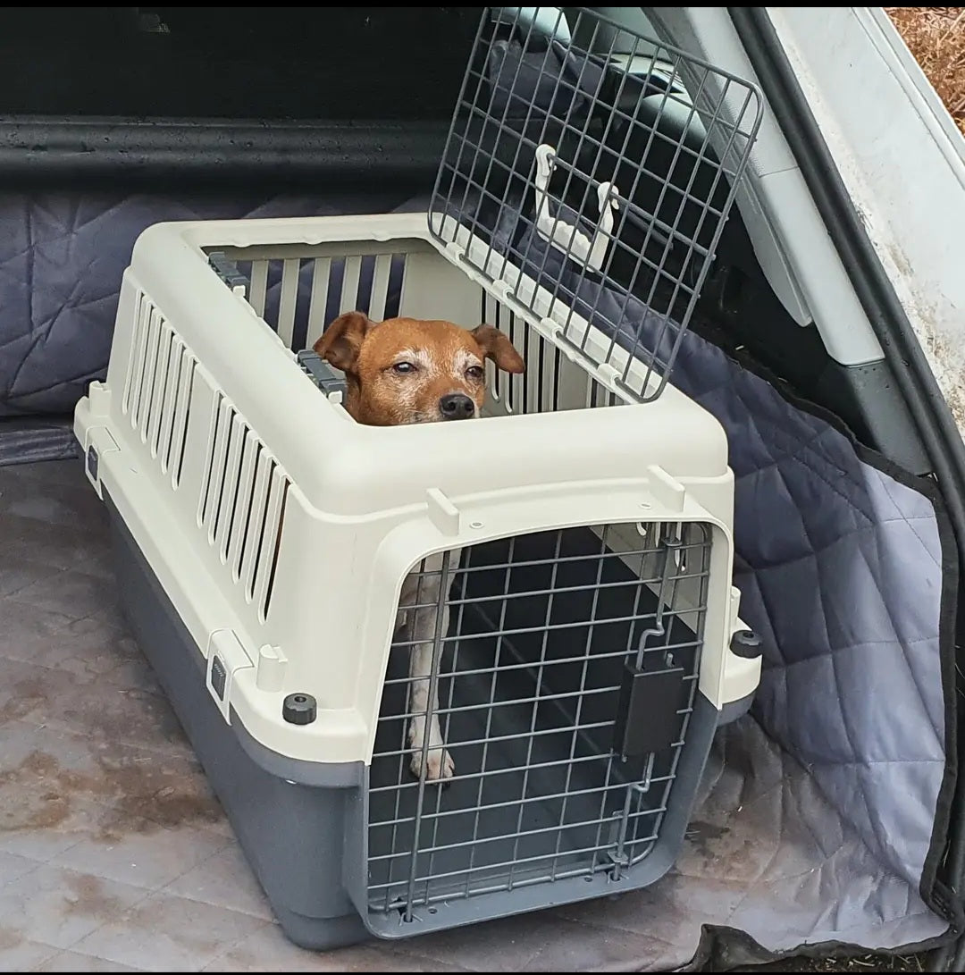 Henry Wag Open Top Pet Travel Kennel 24