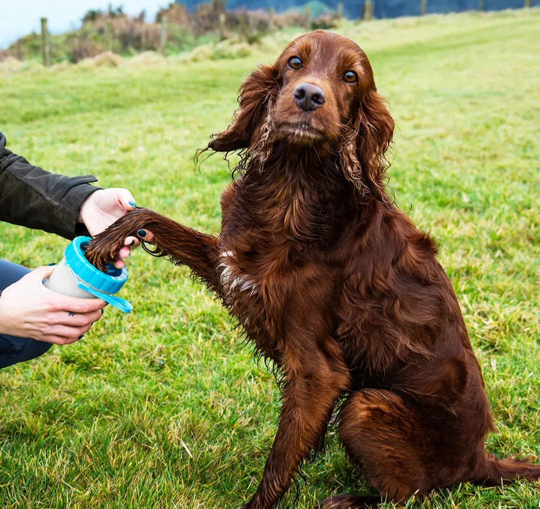 Henry Wag Pet Paw Cleaner
