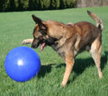 Jolly Pets Push-N-Play Dog Toy