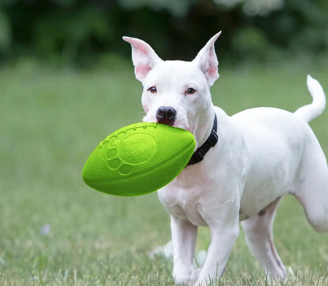 Jolly Pets Football Dog Toy