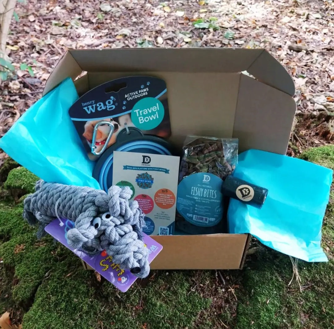 Dewkes and Henry Wag Adventure Treat Gift Box